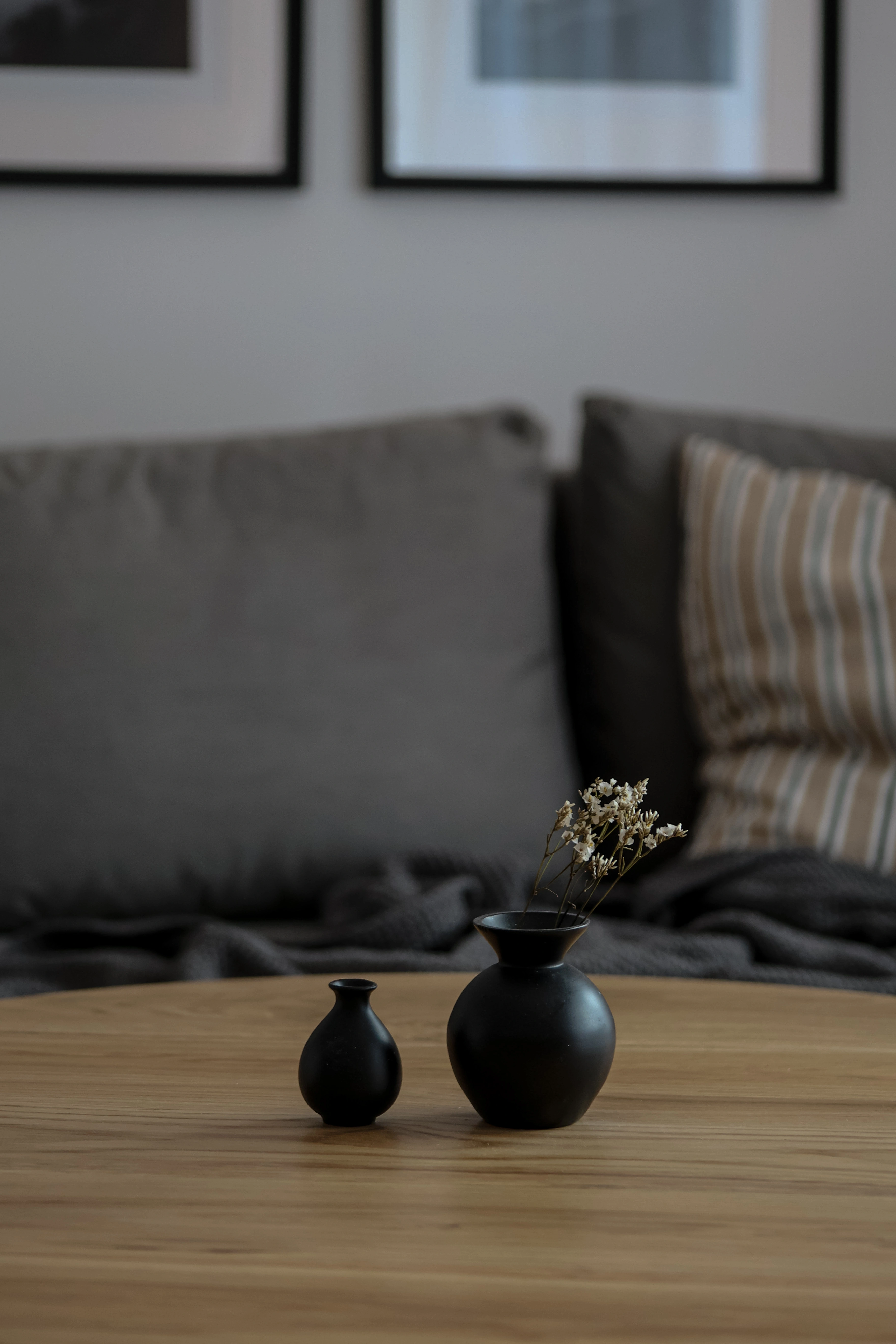 Świerk - zdjęcie 7