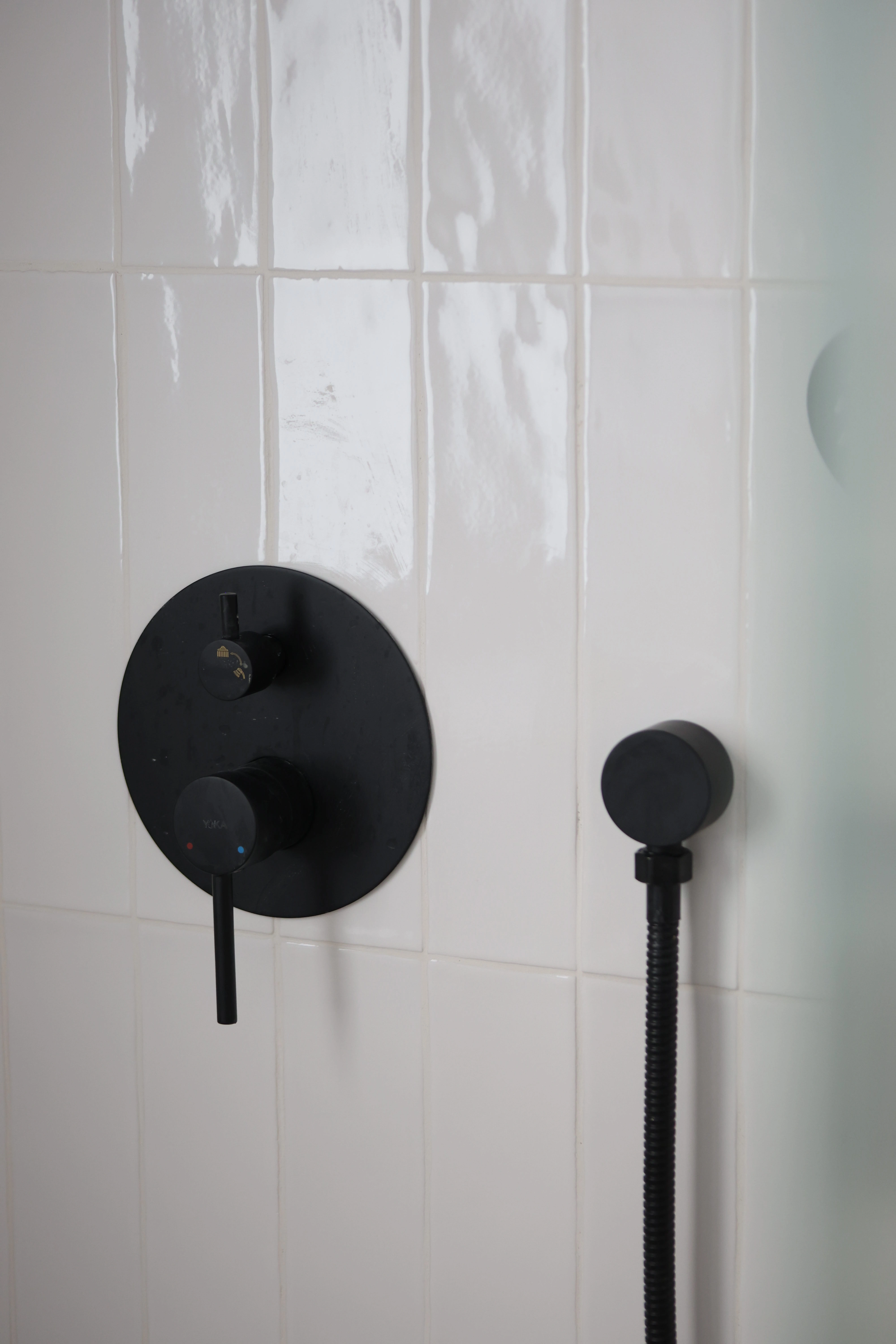 Świerk - zdjęcie 10