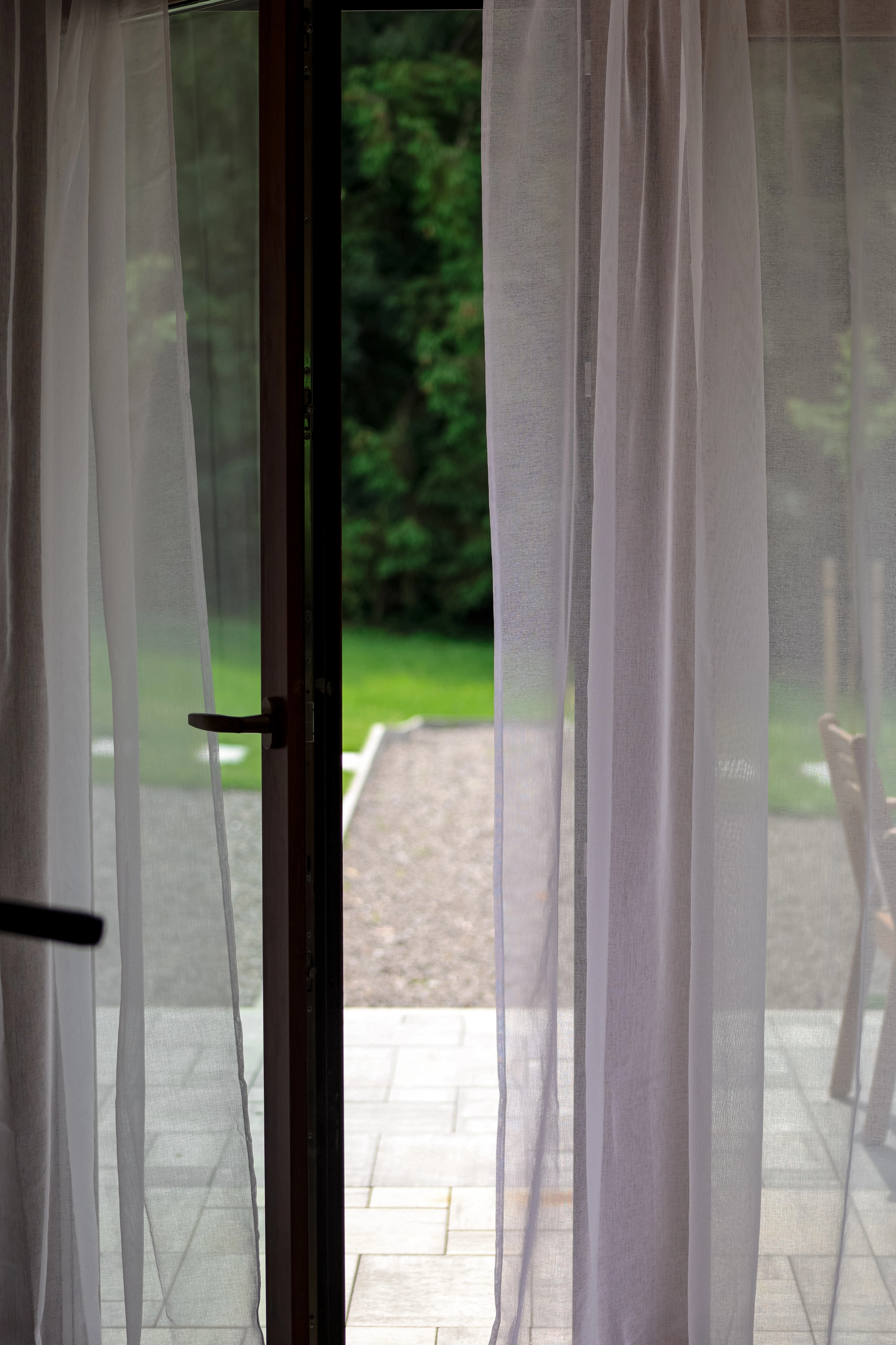 Świerk - zdjęcie 11