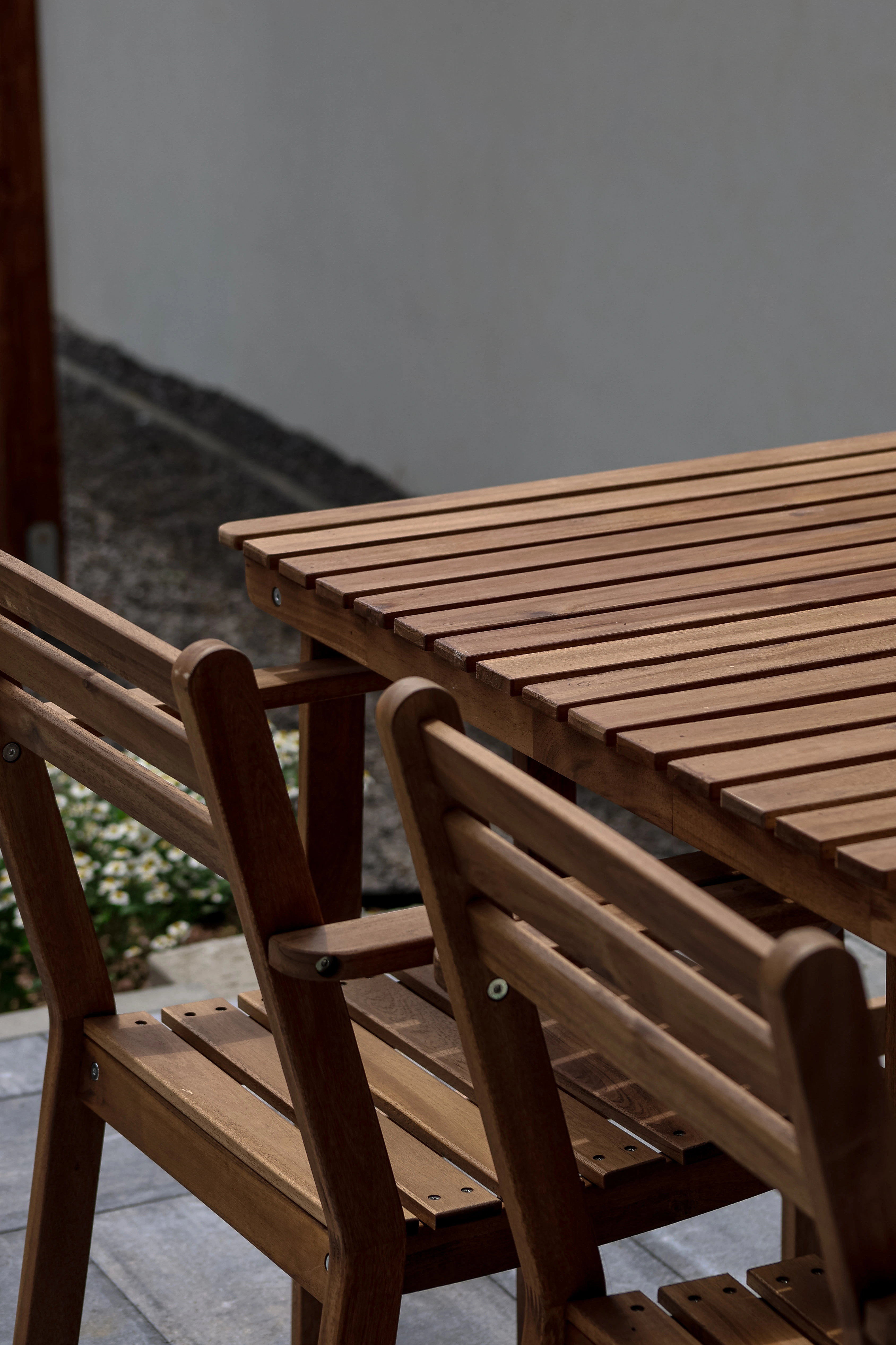 Świerk - zdjęcie 12