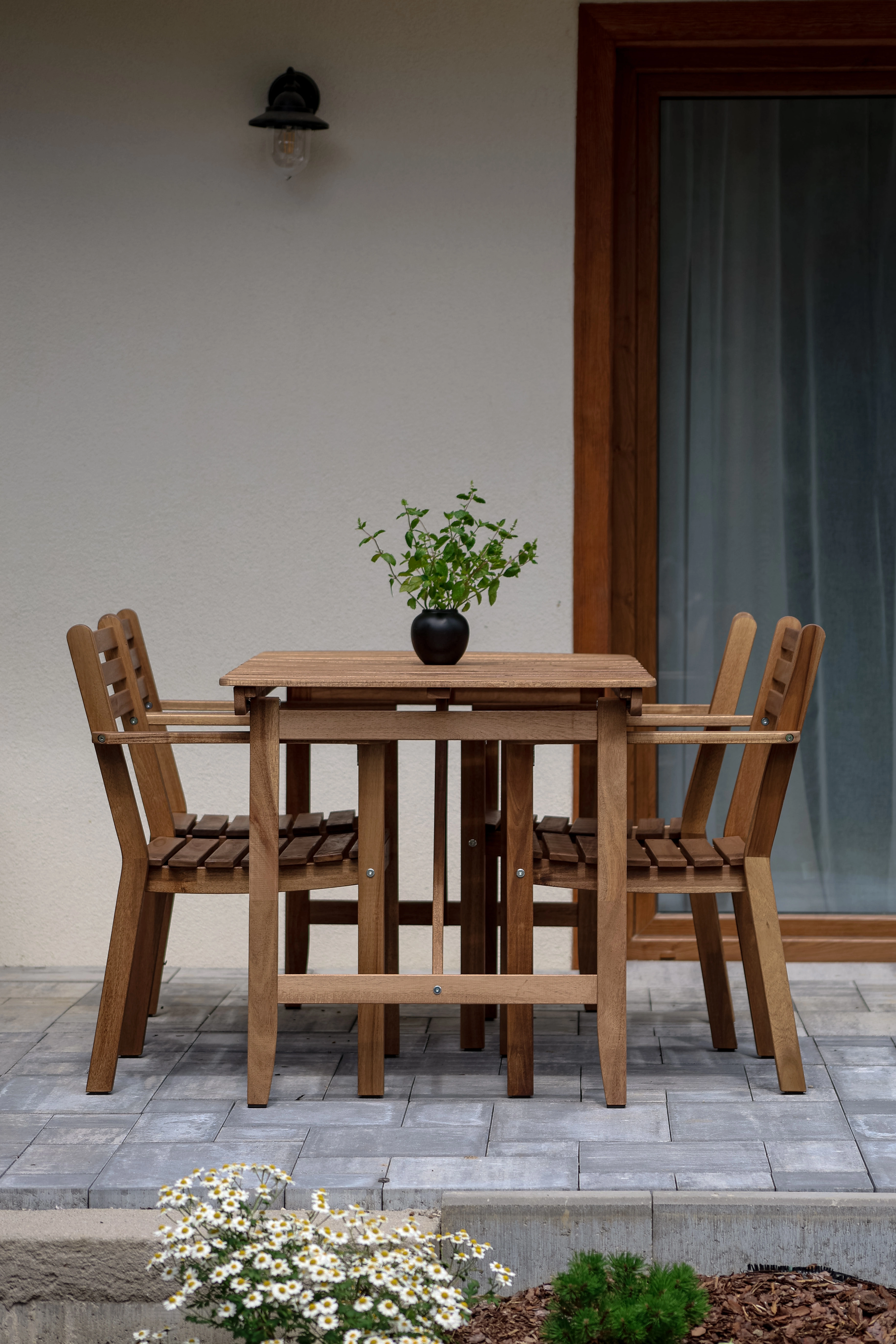 Świerk - zdjęcie 13